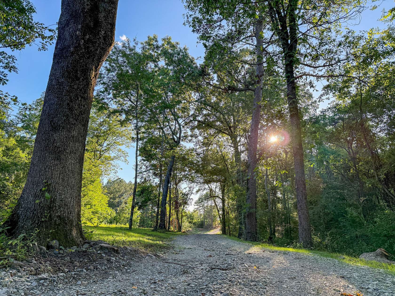 5 Acres of Residential Land for Sale in Trenton, Georgia