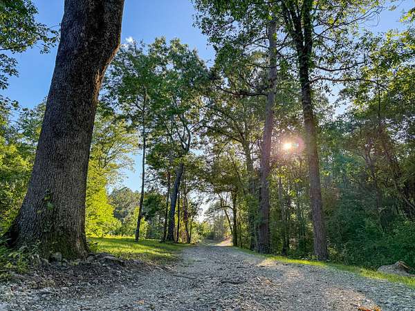 5 Acres of Residential Land for Sale in Trenton, Georgia