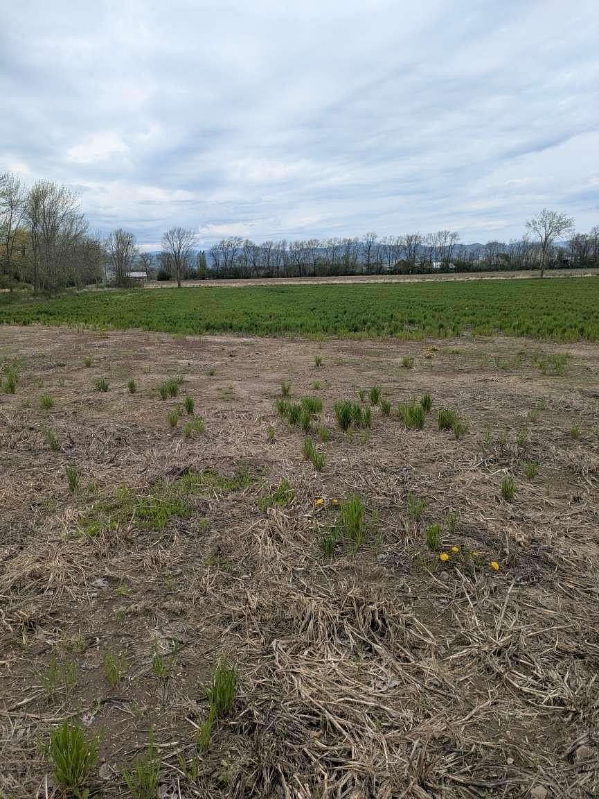 6 Acres of Residential Land for Sale in Addison, Vermont