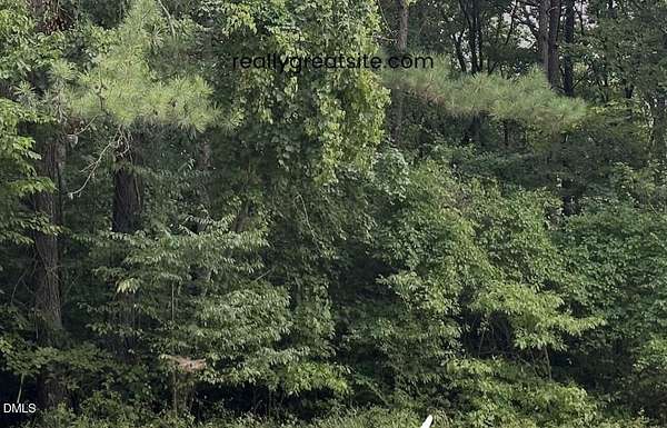 0.47 Acres of Residential Land for Sale in Benson, North Carolina