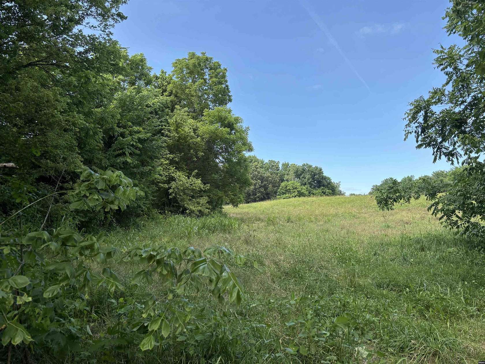 11.8 Acres of Land for Sale in Fulton, Kentucky
