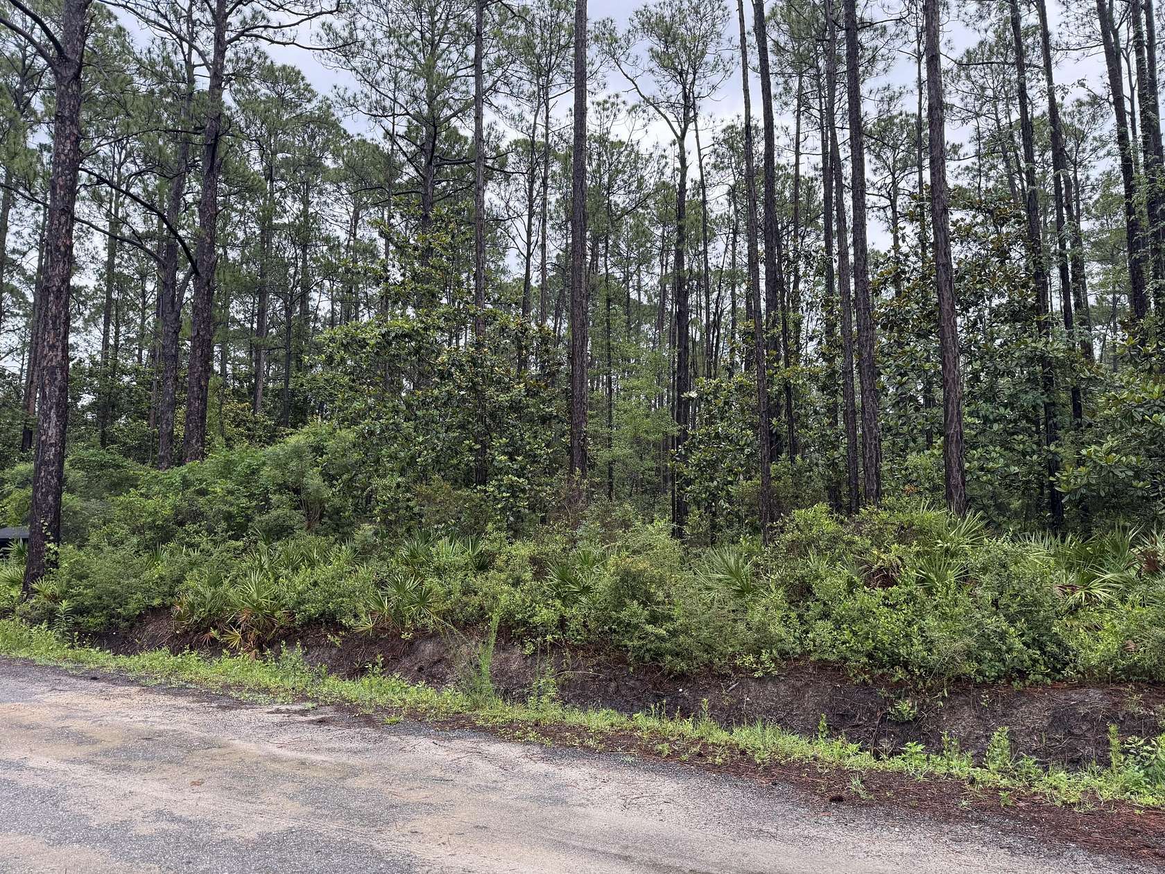 0.43 Acres of Residential Land for Sale in Santa Rosa Beach, Florida