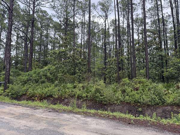 0.43 Acres of Residential Land for Sale in Santa Rosa Beach, Florida