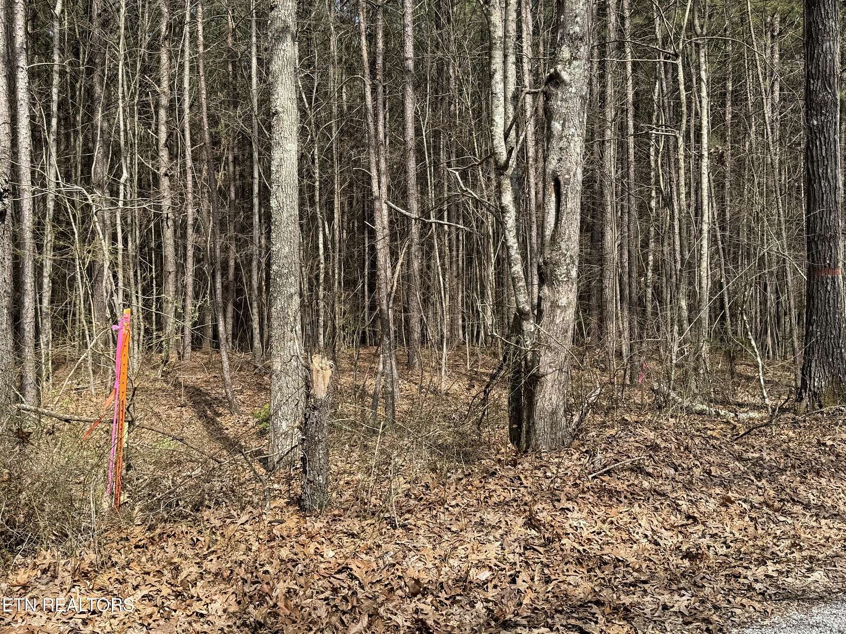 6.44 Acres of Land for Sale in Rockwood, Tennessee