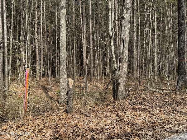6.44 Acres of Land for Sale in Rockwood, Tennessee