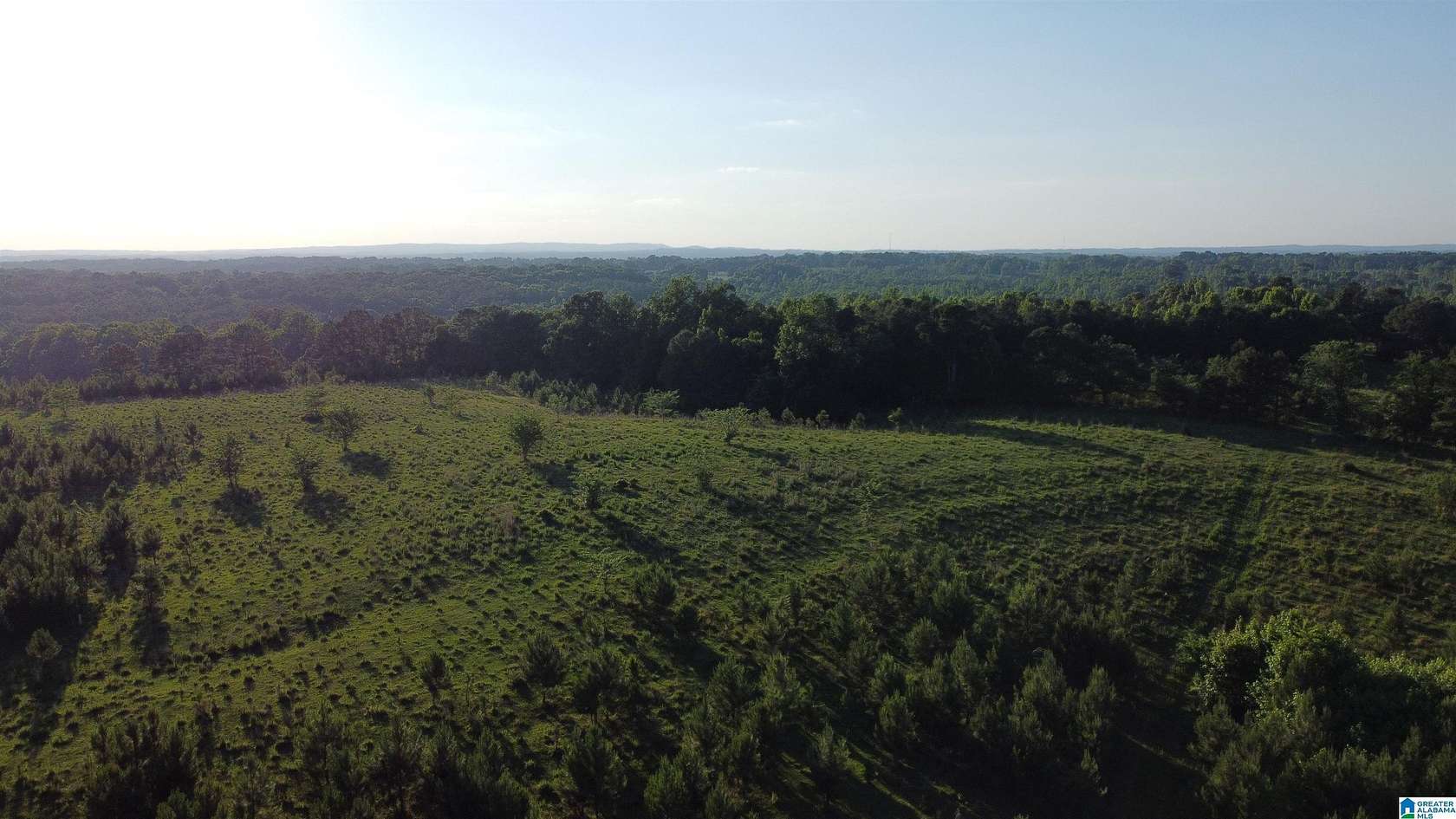 340 Acres of Recreational & Residential Land for Sale in Graham, Alabama