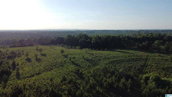 340 Acres of Recreational & Residential Land for Sale in Graham, Alabama