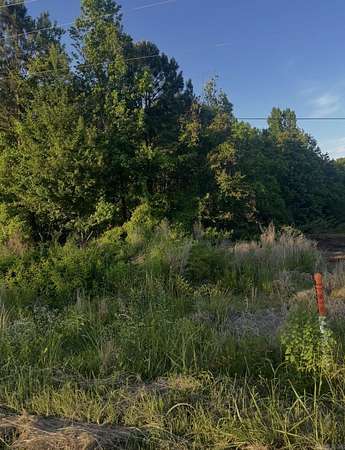 15 Acres of Land for Sale in Monticello, Arkansas