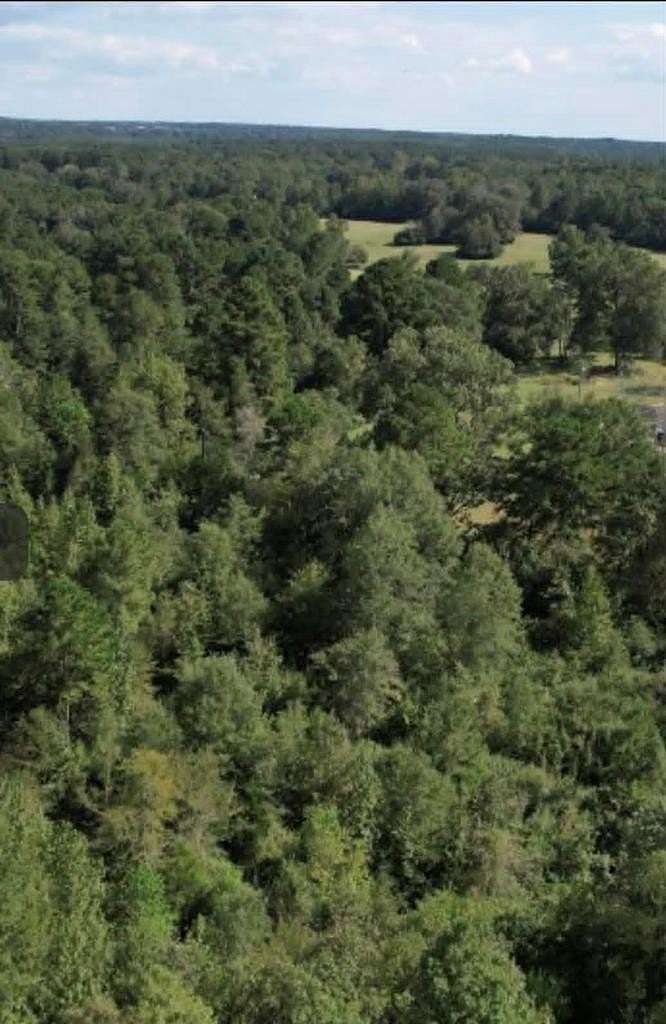 18.7 Acres of Land for Sale in Joaquin, Texas