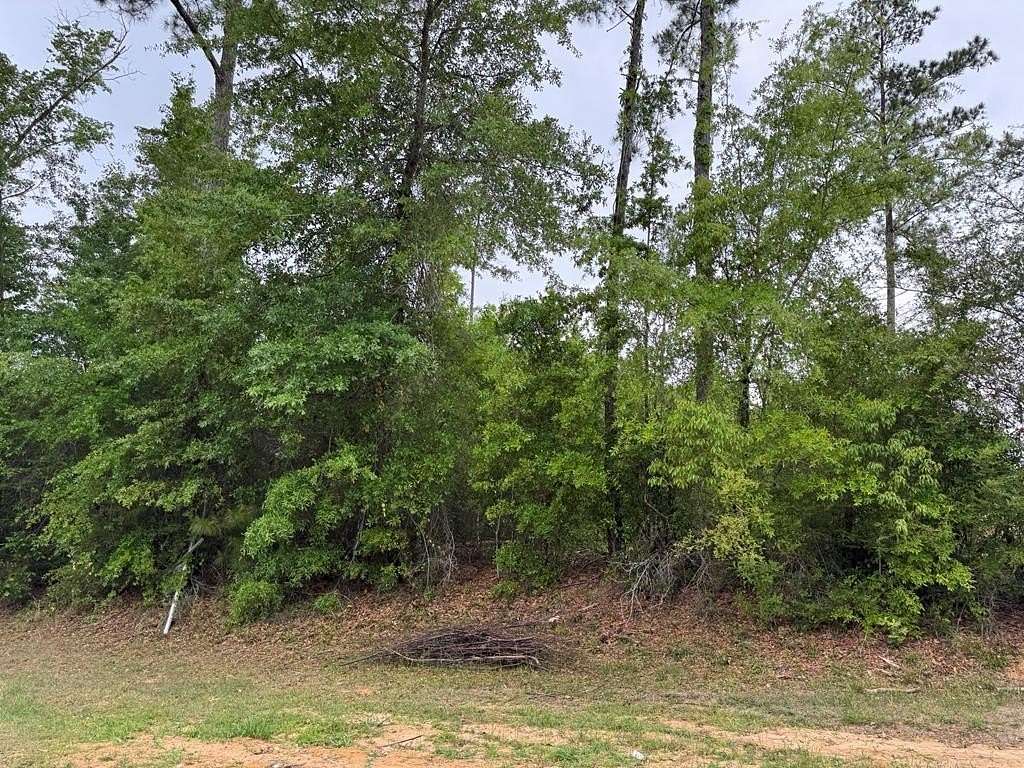 2.82 Acres of Residential Land for Sale in Eastpoint, Florida
