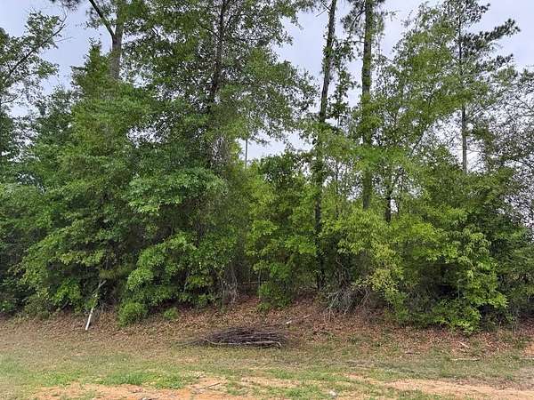 2.82 Acres of Residential Land for Sale in Eastpoint, Florida