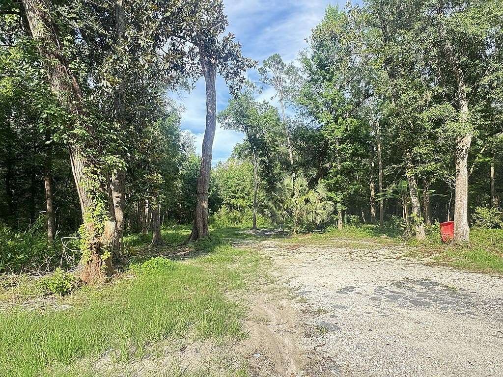 1 Acre of Residential Land for Sale in Wewahitchka, Florida
