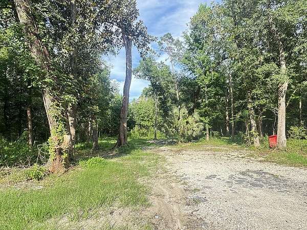 1 Acre of Residential Land for Sale in Wewahitchka, Florida