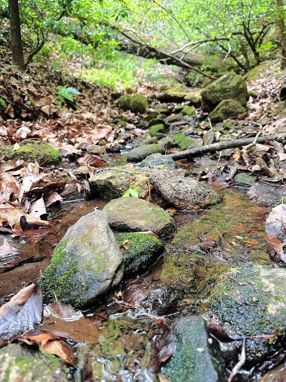 12 Acres of Recreational & Residential Land for Sale in Mill Spring, North Carolina