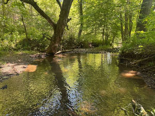 49.7 Acres of Recreational Land for Sale in Springville, Indiana