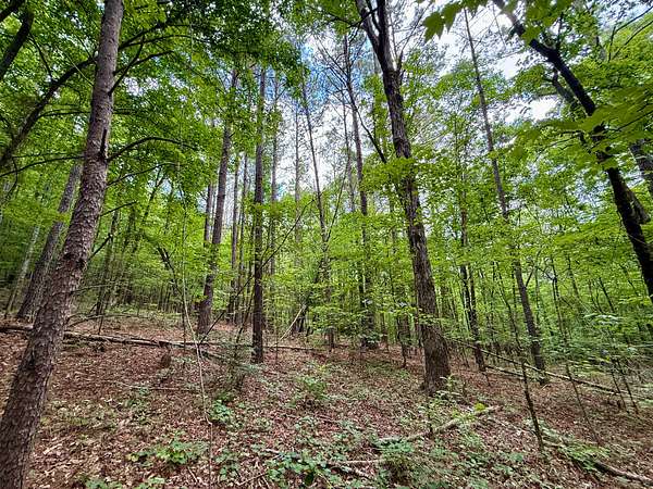 20 Acres of Recreational Land for Sale in Bremen, Alabama