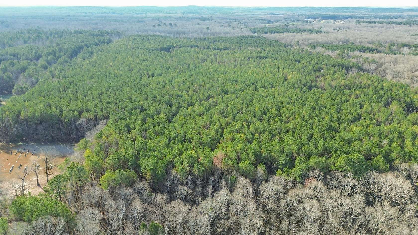 76 Acres of Recreational Land for Sale in Sturgis, Mississippi