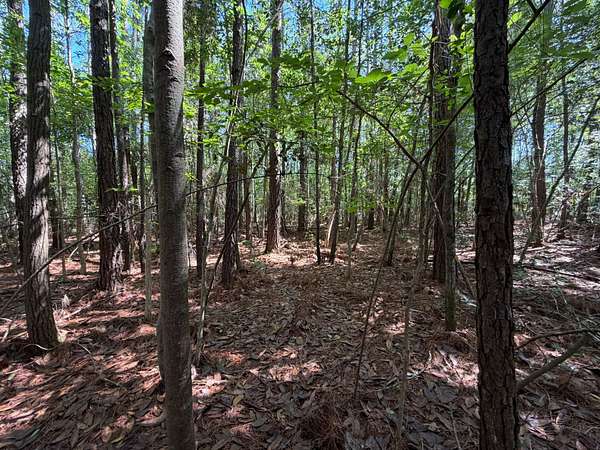171 Acres of Land for Sale in Conway, South Carolina