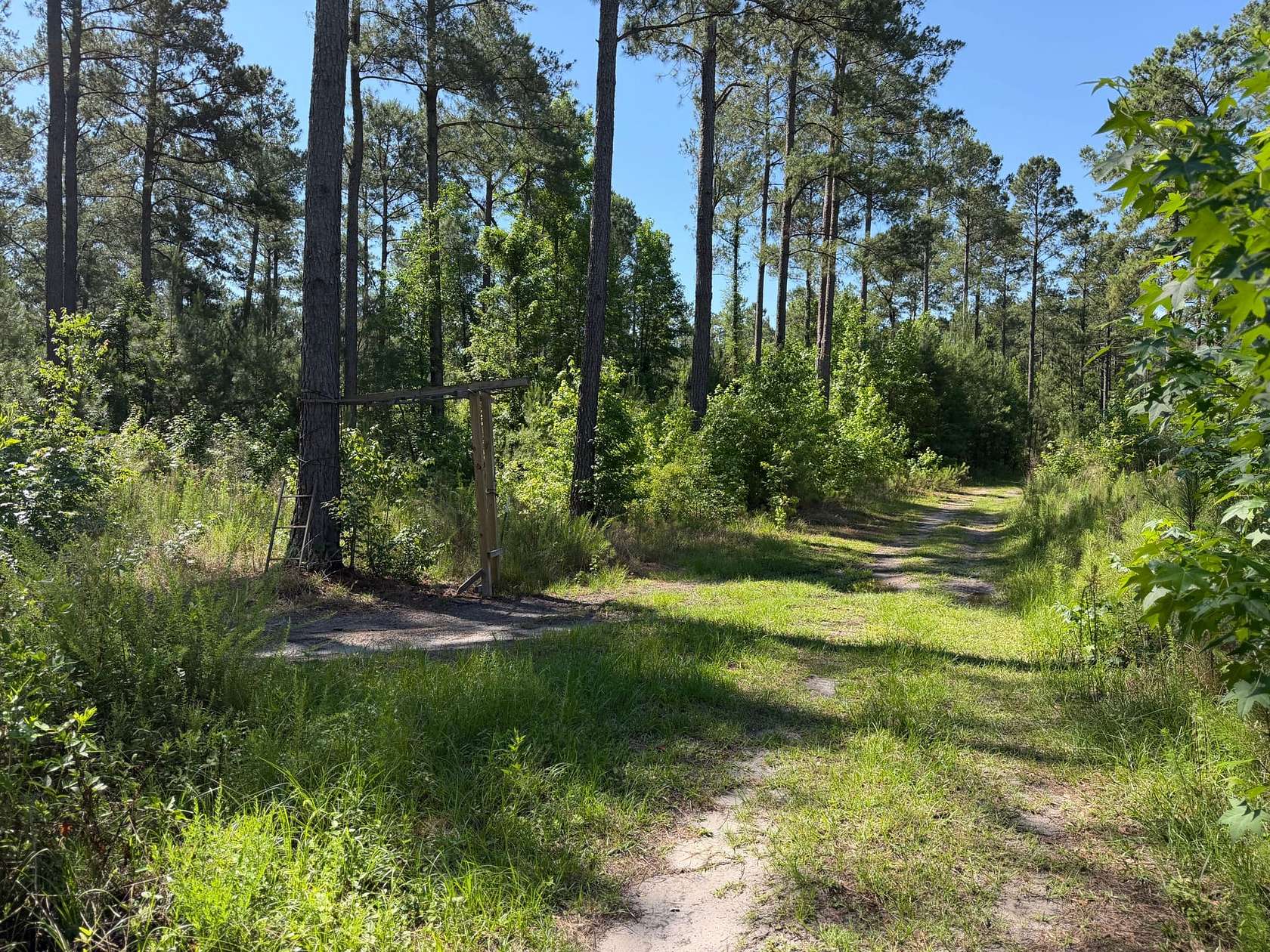 84.7 Acres of Land for Sale in Conway, South Carolina