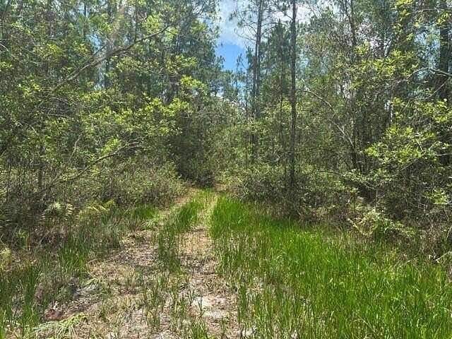 10.3 Acres of Recreational Land for Sale in Clermont, Florida