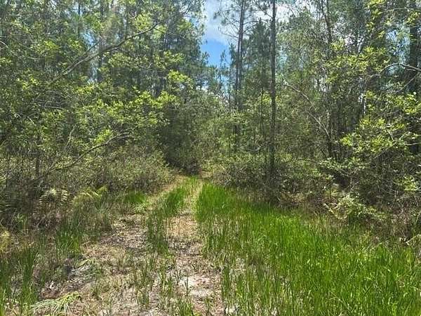 10.3 Acres of Recreational Land for Sale in Clermont, Florida
