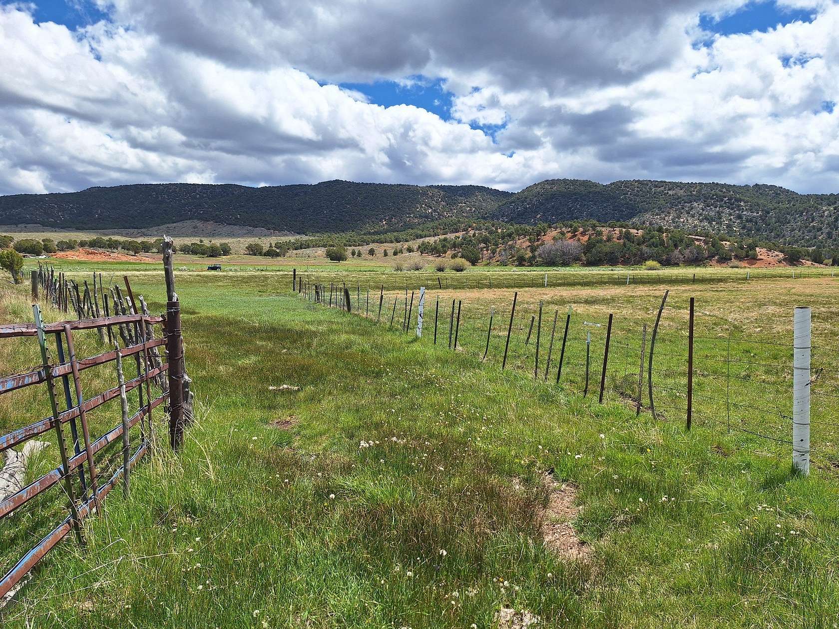 11.5 Acres of Agricultural Land for Sale in Central, Utah