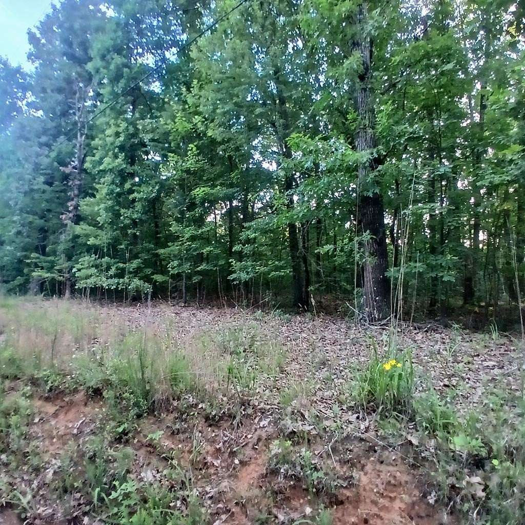 1.5 Acres of Residential Land for Sale in Talking Rock, Georgia