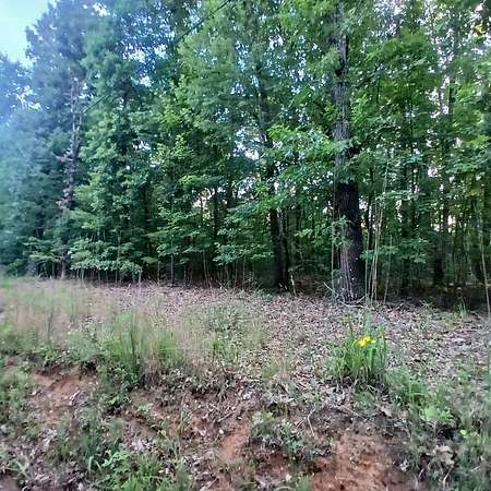 1.5 Acres of Residential Land for Sale in Talking Rock, Georgia