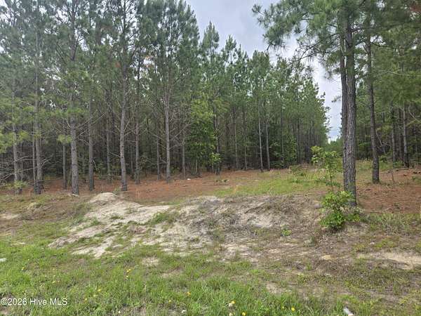 20.5 Acres of Land for Sale in Jackson Springs, North Carolina