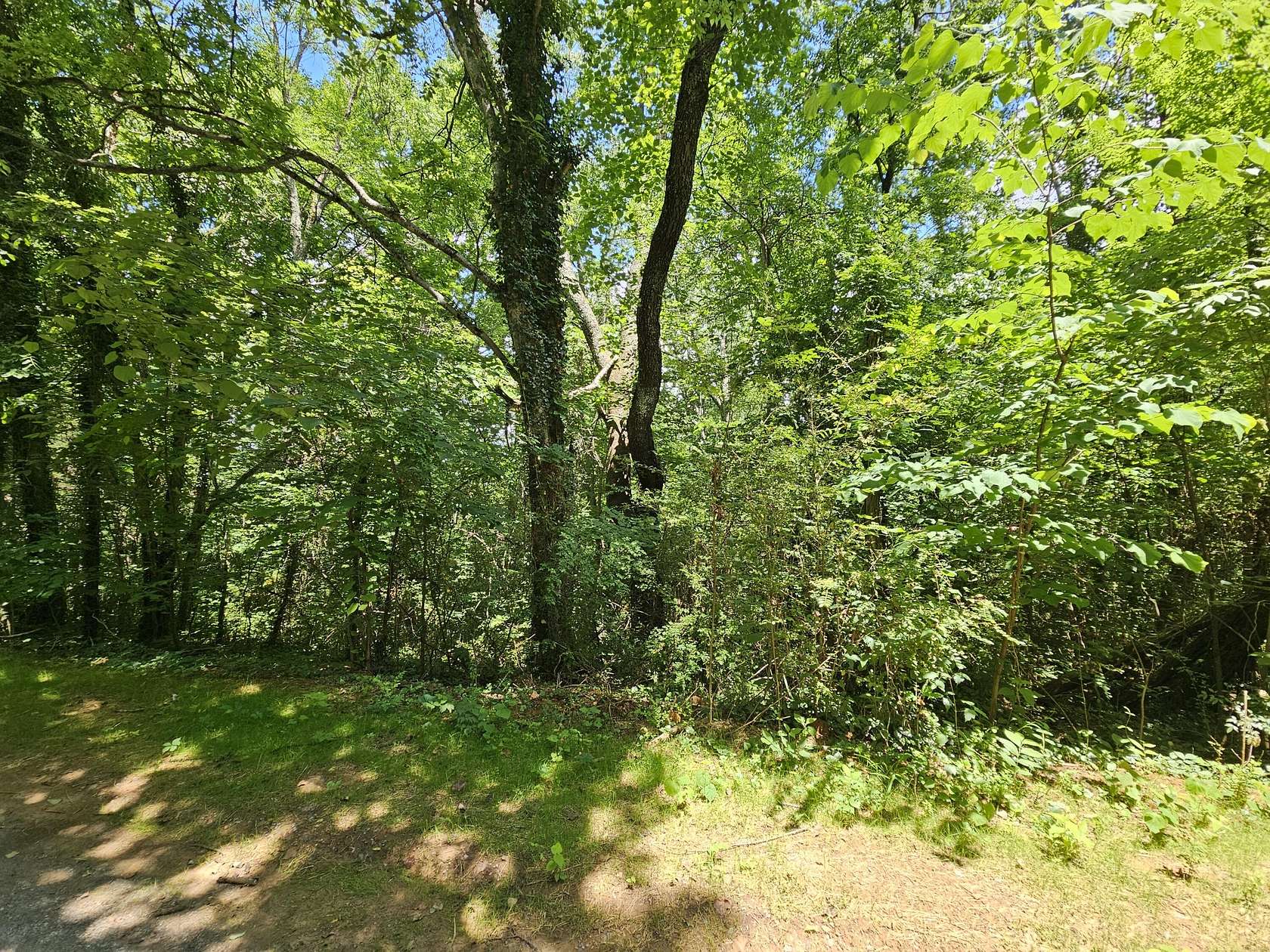 2 Acres of Residential Land for Sale in Newport, Tennessee