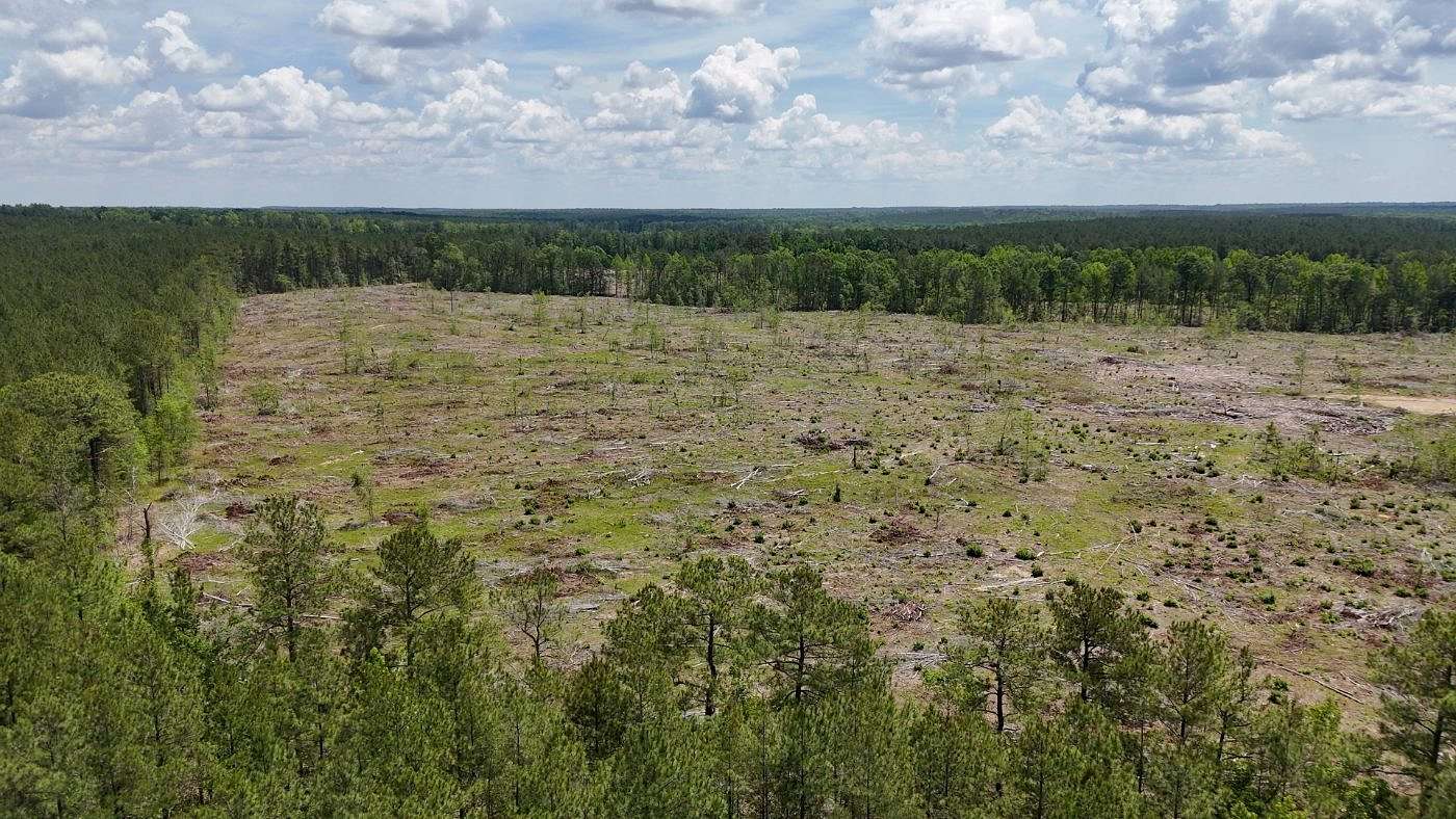 71.6 Acres of Recreational Land for Sale in Camden, South Carolina