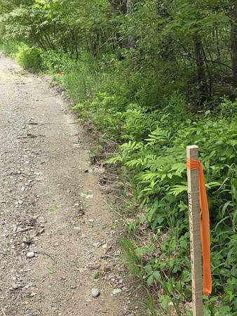 2.7 Acres of Residential Land for Sale in New Ipswich, New Hampshire