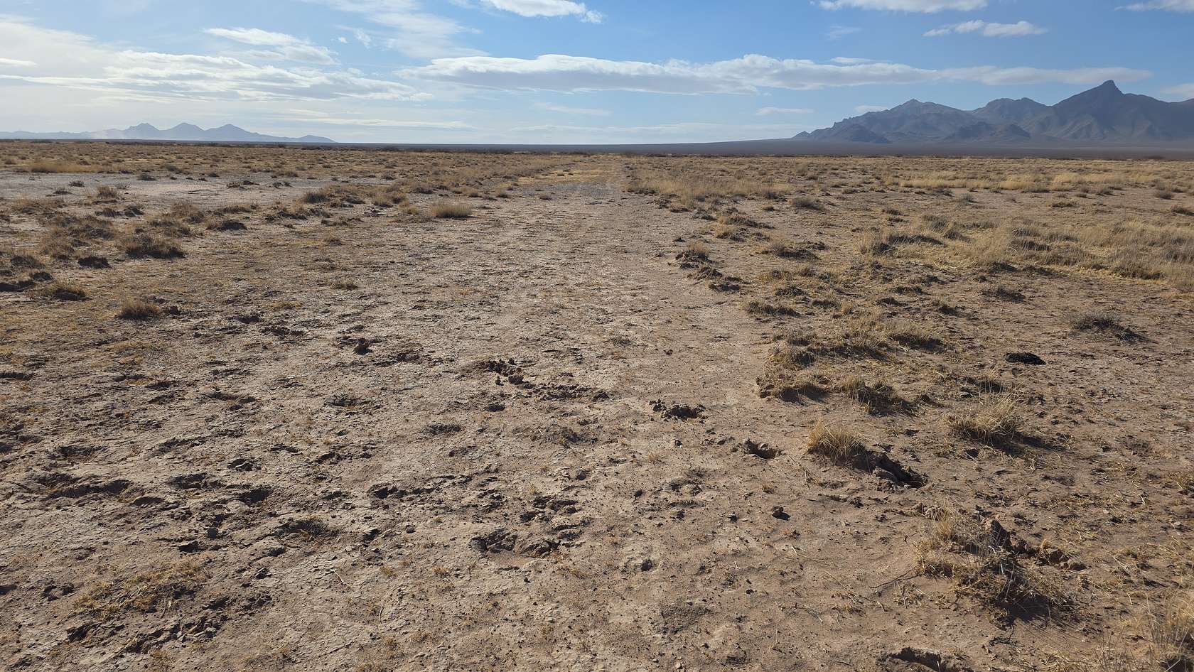 20 Acres of Land for Sale in Montello, Nevada