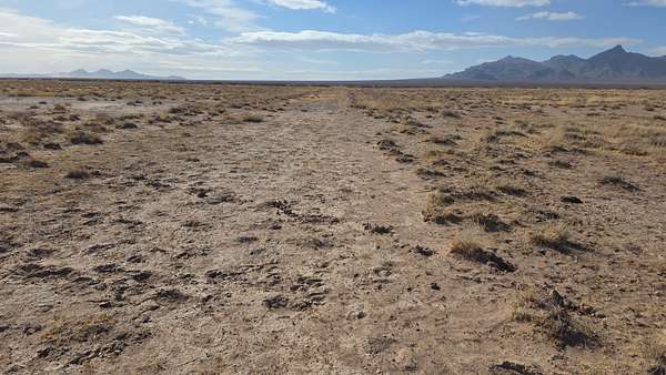 20 Acres of Land for Sale in Montello, Nevada