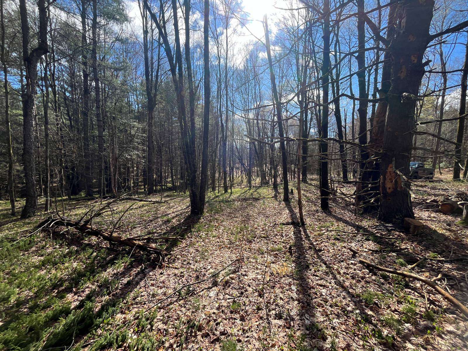 6.65 Acres of Land for Sale in Dickinson Center, New York