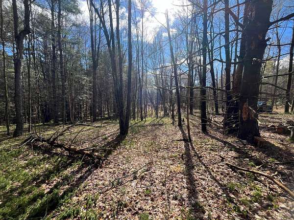 6.65 Acres of Land for Sale in Dickinson Center, New York