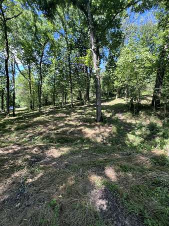 8.26 Acres of Residential Land for Sale in Elmwood, Tennessee