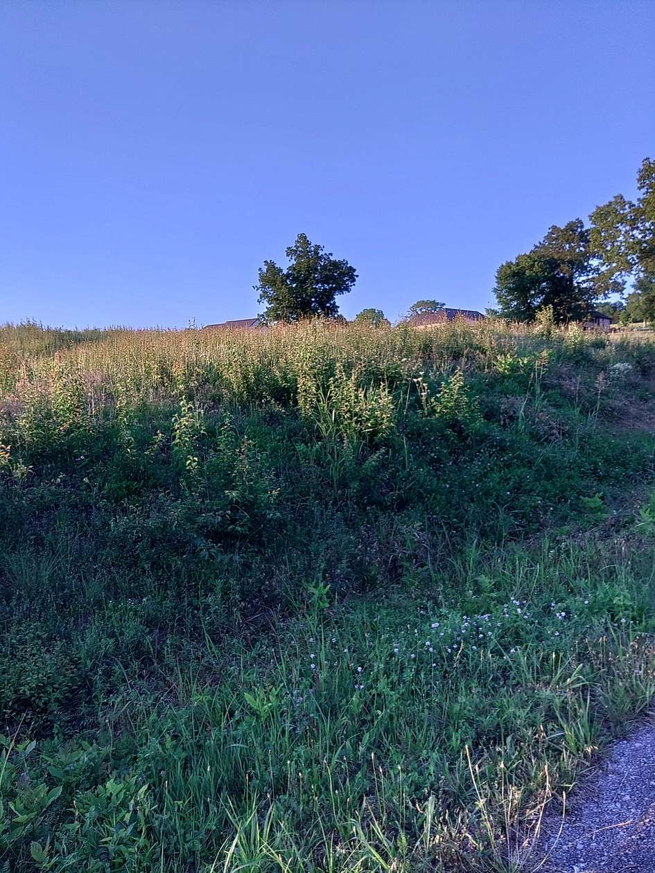 0.69 Acres of Residential Land for Sale in McMinnville, Tennessee