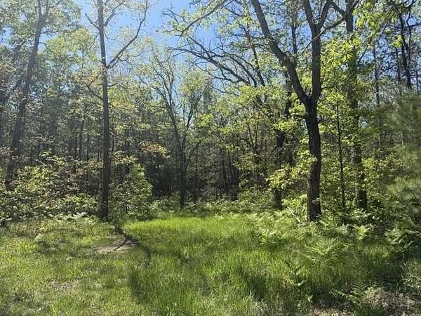 10.1 Acres of Recreational Land for Sale in Baldwin, Michigan