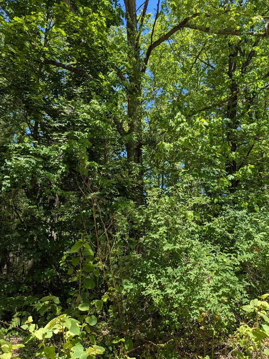 0.75 Acres of Land for Sale in Wellston, Michigan