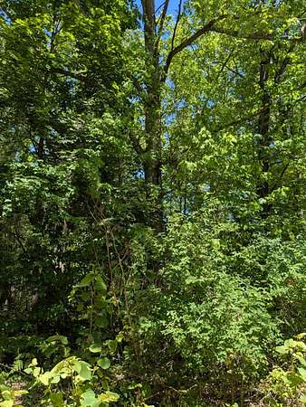 0.75 Acres of Land for Sale in Wellston, Michigan