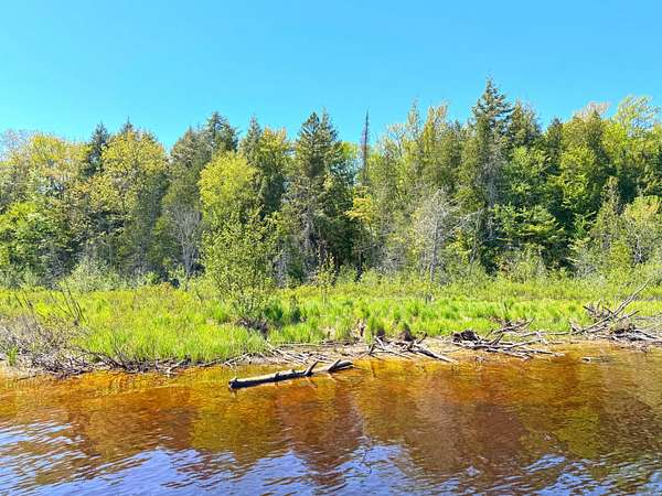 10.3 Acres of Recreational Land for Sale in Paradise, Michigan
