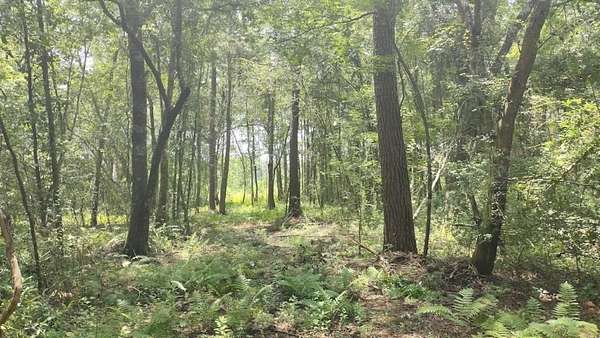 0.86 Acres of Residential Land for Sale in Monticello, Florida