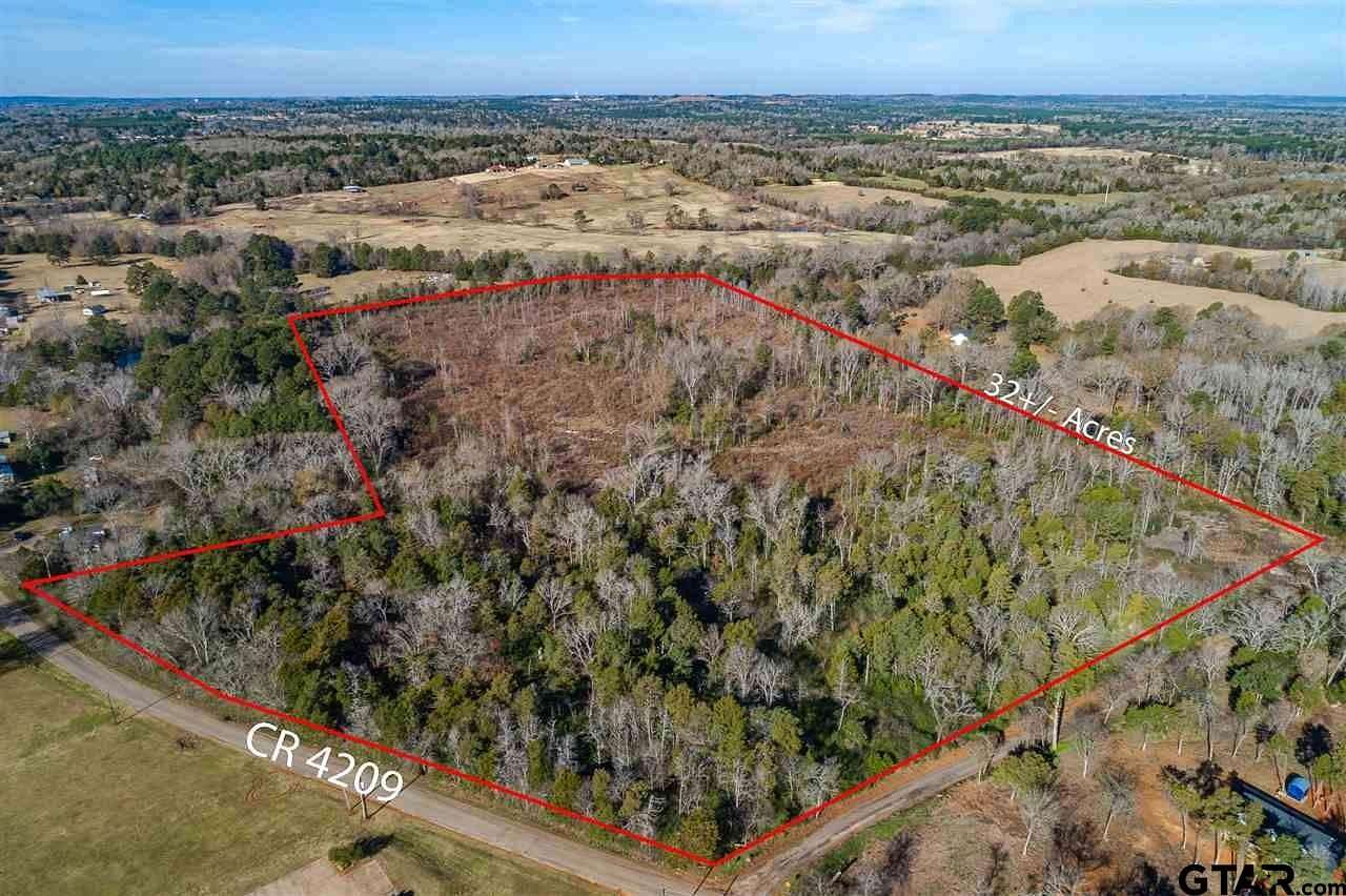 32.2 Acres of Recreational & Residential Land for Sale in Jacksonville, Texas
