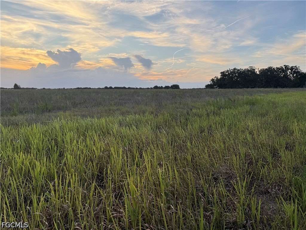 30 Acres of Agricultural Land for Sale in Zolfo Springs, Florida