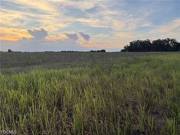 30 Acres of Agricultural Land for Sale in Zolfo Springs, Florida