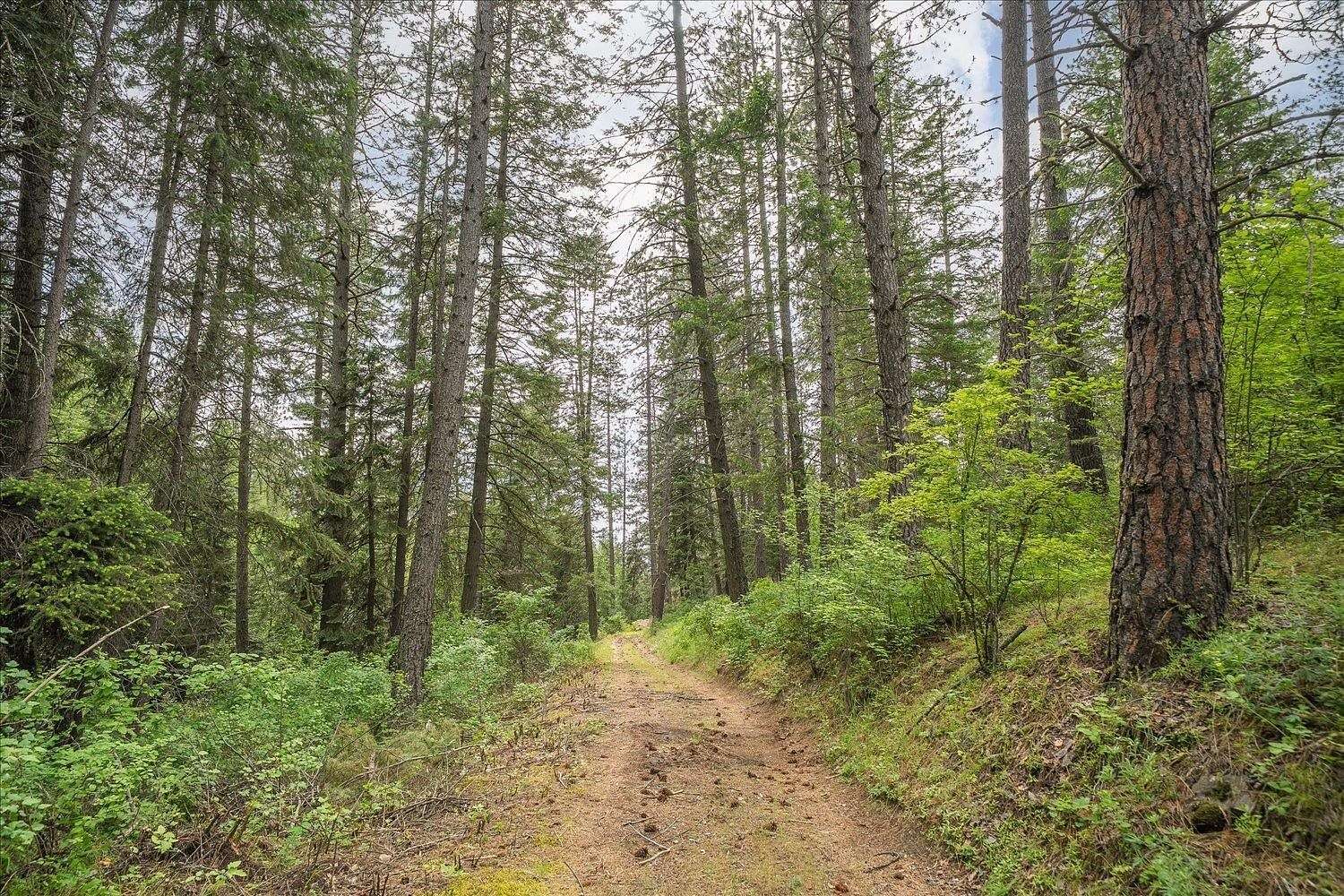 2.76 Acres of Residential Land for Sale in Mead, Washington