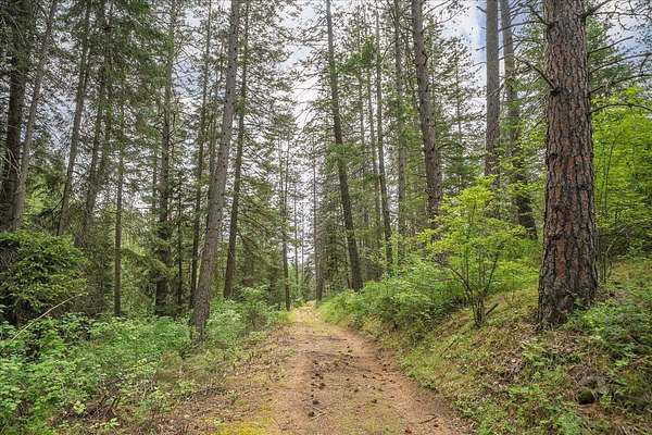 2.76 Acres of Residential Land for Sale in Mead, Washington