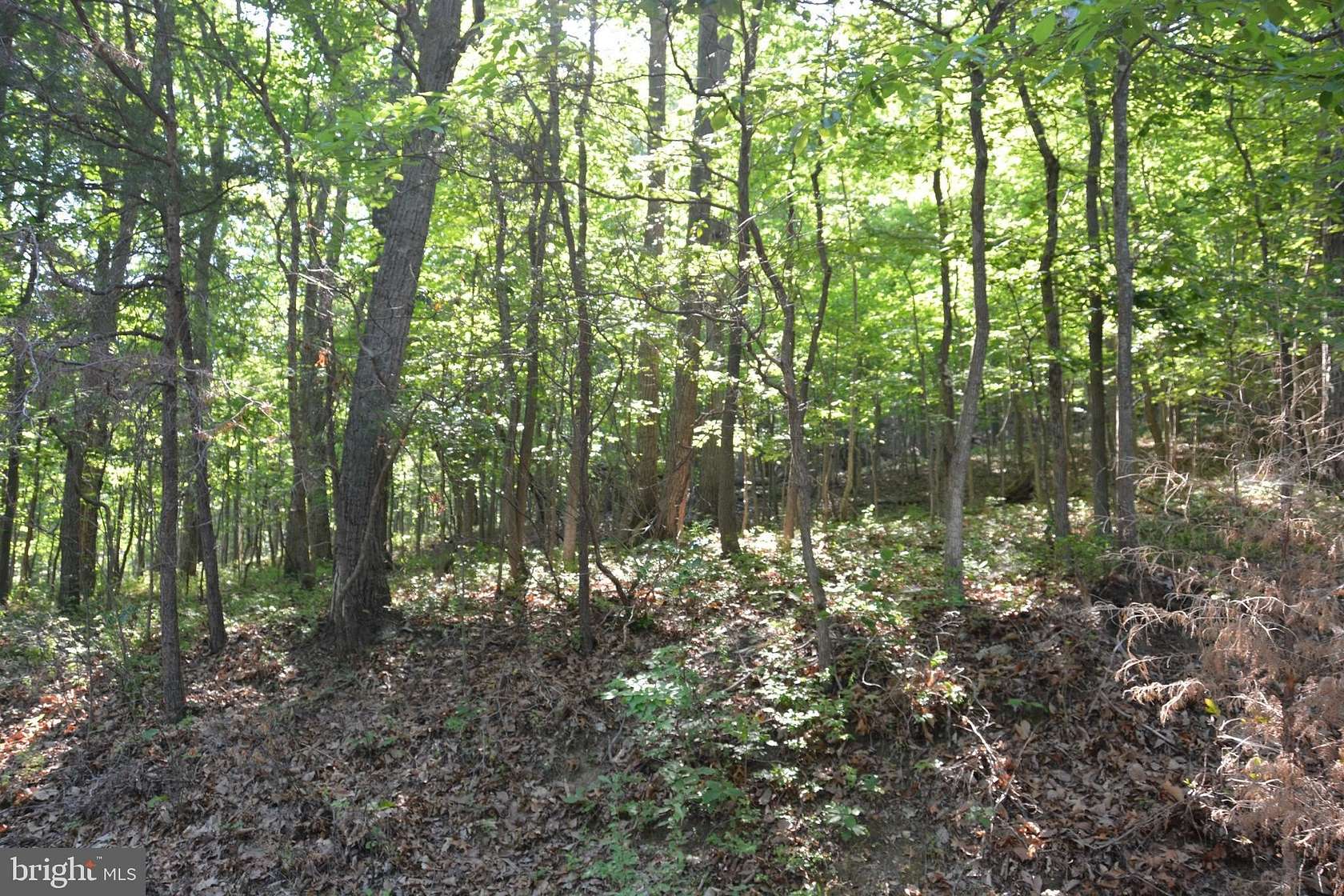 3.39 Acres of Residential Land for Sale in Front Royal, Virginia
