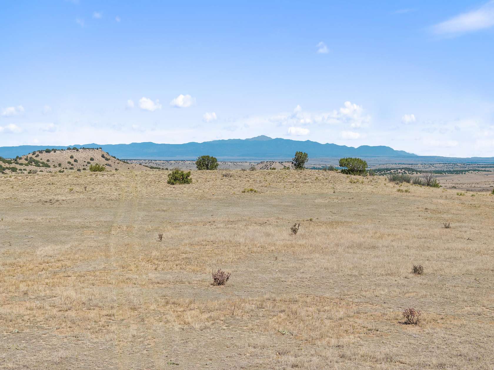 38 Acres of Land for Sale in Rye, Colorado